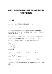 2025年安徽省安庆市宿松县部分学校中考联考三模九年级下数学试题（含答案解析）
