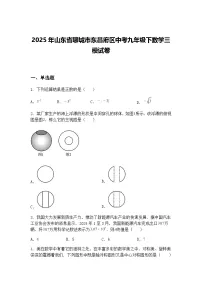 2025年山东省聊城市东昌府区中考九年级下数学三模试卷(含答案解析)