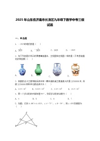 2025年山东省济南市长清区九年级下数学中考三模试题（含答案解析）