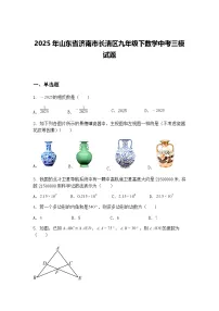 2025年山东省济南市长清区九年级下数学中考三模试题（含答案解析）
