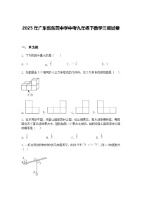 2025年广东省东莞中学中考九年级下数学三模试卷（含答案解析）