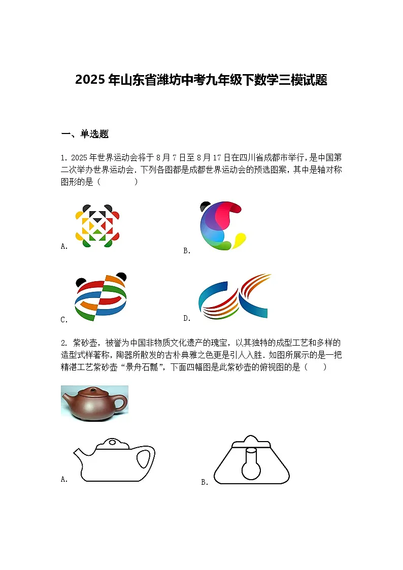 2025年山东省潍坊中考九年级下数学三模试题(含答案解析)第1页