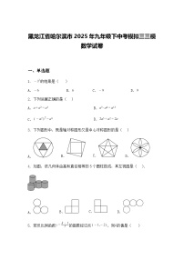 黑龙江省哈尔滨市2025年九年级下中考模拟三三模数学试卷（含答案解析）