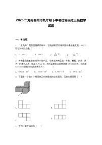 2025年海南儋州市九年级下中考仿真模拟三模数学试题（含答案解析）