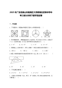 2025年广东省佛山市南海区大沥镇海北初级中学中考三模九年级下数学测试卷（含答案解析）