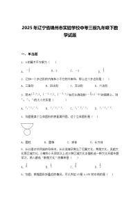 2025年辽宁省锦州市实验学校中考三模九年级下数学试题（含答案解析）