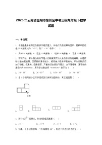 2025年云南省昆明市东川区中考三模九年级下数学试题（含答案解析）