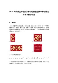 2025年内蒙古呼伦贝尔市鄂伦春自治旗中考三模九年级下数学试题（含答案解析）