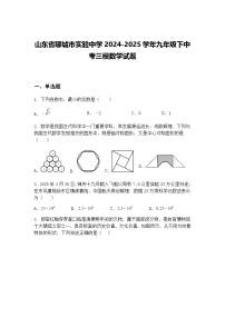山东省聊城市实验中学2024-2025学年九年级下中考三模数学试题（含答案解析）