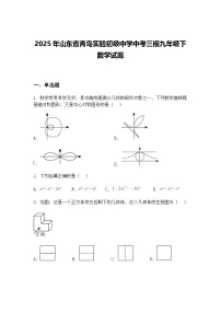 2025年山东省青岛实验初级中学中考三模九年级下数学试题(含答案解析)