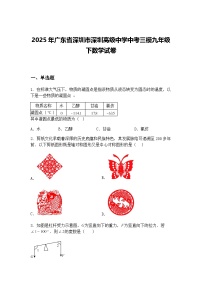2025年广东省深圳市深圳高级中学中考三模九年级下数学试卷（含答案解析）