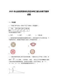 2025年山东省菏泽市牡丹区中考三模九年级下数学试题（含答案解析）