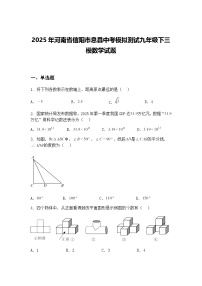 2025年河南省信阳市息县中考模拟测试九年级下三模数学试题（含答案解析）
