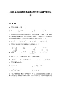 2025年山东省菏泽市单县中考三模九年级下数学试题（含答案解析）