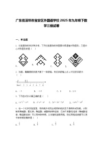 广东省深圳市宝安区外国语学校2025年九年级下数学三模试卷（含答案解析）