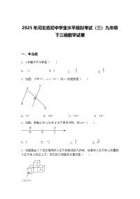2025年河北省初中学业水平模拟考试（三）九年级下三模数学试卷（含答案解析）