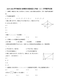 2025-2026学年黑龙江省鹤岗市绥滨县九年级(上)开学数学试卷-自定义类型