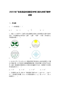 2025年广东省清远市清新区中考三模九年级下数学试题(含答案解析)