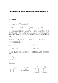 安徽省蚌埠市2025年中考三模九年级下数学试题（含答案解析）