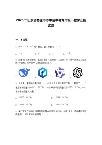 2025年山东省枣庄市市中区中考九年级下数学三模试题(含答案解析)