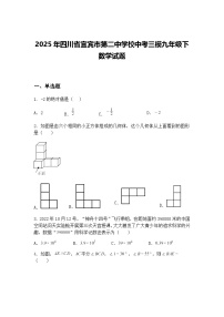 2025年四川省宜宾市第二中学校中考三模九年级下数学试题（含答案解析）