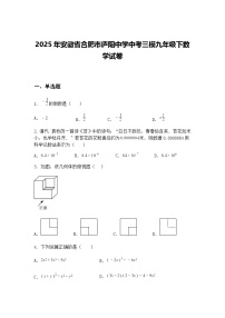 2025年安徽省合肥市庐阳中学中考三模九年级下数学试卷（含答案解析）