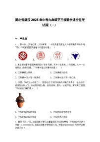 湖北省武汉2025年中考九年级下三模数学适应性考试题(一)(含答案解析)