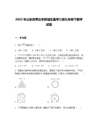 2025年山东省枣庄市薛城区是考三模九年级下数学试题（含答案解析）