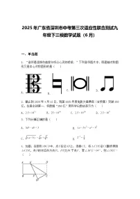 2025年广东省深圳市中考第三次适应性联合测试九年级下三模数学试题（6月）（含答案解析）