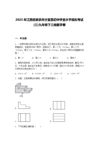 2025年江西省新余市分宜县初中学业水平模拟考试(三)九年级下三模数学卷（含答案解析）