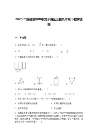 2025年安徽省蚌埠市龙子湖区三模九年级下数学试题（含答案解析）