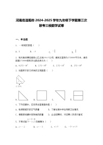 河南省洛阳市2024-2025学年九年级下学期第三次联考三模数学试卷（含答案解析）