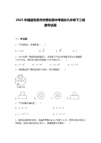 2025年福建省泉州市惠安县中考模拟九年级下三模数学试题(含答案解析)