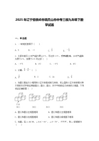 2025年辽宁省铁岭市调兵山市中考三模九年级下数学试题（含答案解析）