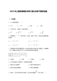 2025年上海市崇明区中考三模九年级下数学试题（含答案解析）