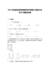 2025年安徽省合肥市厚德中学中考第三次模拟九年级下三模数学试卷（含答案解析）
