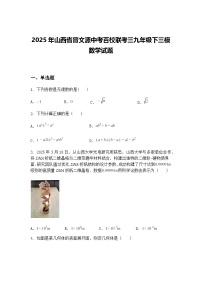2025年山西省晋文源中考百校联考三九年级下三模数学试题（含答案解析）