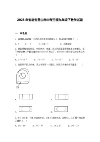 2025年安徽省黄山市中考三模九年级下数学试题(含答案解析)