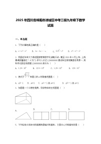 2025年四川省绵阳市涪城区中考三模九年级下数学试题（含答案解析）