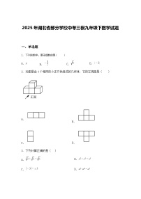 2025年湖北省部分学校中考三模九年级下数学试题（含答案解析）