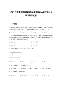 2025年云南省楚雄彝族自治州楚雄市中考三模九年级下数学试题（含答案解析）