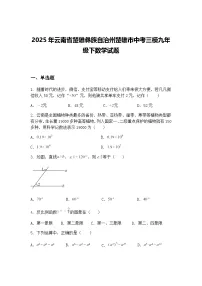 2025年云南省楚雄彝族自治州楚雄市中考三模九年级下数学试题（含答案解析）