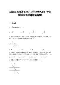 河南省新乡市新乡县2024-2025学年九年级下学期第三次联考三模数学试题试卷（含答案解析）