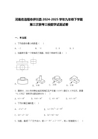河南省洛阳市伊川县2024-2025学年九年级下学期第三次联考三模数学试题试卷（含答案解析）