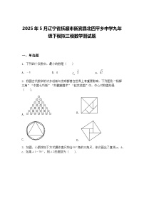 2025年5月辽宁省抚顺市新宾县北四平乡中学九年级下模拟三模数学测试题（含答案解析）