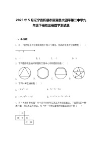 2025年5月辽宁省抚顺市新宾县大四平第二中学九年级下模拟三模数学测试题（含答案解析）