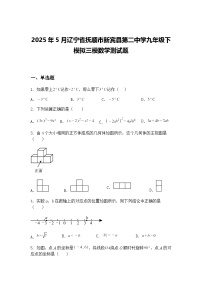 2025年5月辽宁省抚顺市新宾县第二中学九年级下模拟三模数学测试题（含答案解析）