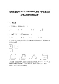 河南省洛阳市2024-2025学年九年级下学期第三次联考三模数学试题试卷（含答案解析）