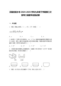 河南省新乡市2024-2025学年九年级下学期第三次联考三模数学试题试卷（含答案解析）