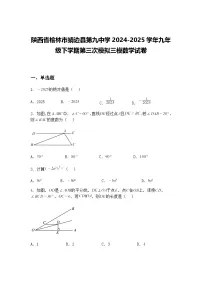 陕西省榆林市靖边县第九中学2024-2025学年九年级下学期第三次模拟三模数学试卷(含答案解析)